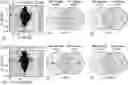 Fig. 01 - Methods and Compositions for the Treatment of Multiple Sclerosis
