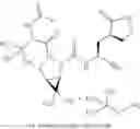 Fig. 44 - Nitrile-containing antiviral compounds
