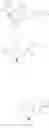 Fig. 49 - Nitrile-containing antiviral compounds
