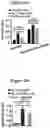 Fig. 03 - METHODS AND COMPOSITIONS FOR TREATMENT OF L YSOSOMAL STORAGE DISORDER