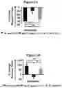 Fig. 04 - METHODS AND COMPOSITIONS FOR TREATMENT OF L YSOSOMAL STORAGE DISORDER