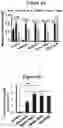 Fig. 05 - METHODS AND COMPOSITIONS FOR TREATMENT OF L YSOSOMAL STORAGE DISORDER