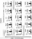 Fig. 16 - METHODS AND COMPOSITIONS FOR TREATMENT OF L YSOSOMAL STORAGE DISORDER