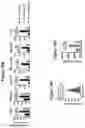 Fig. 18 - METHODS AND COMPOSITIONS FOR TREATMENT OF L YSOSOMAL STORAGE DISORDER