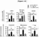 Fig. 20 - METHODS AND COMPOSITIONS FOR TREATMENT OF L YSOSOMAL STORAGE DISORDER
