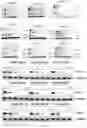 Fig. 03 - SULFUR-CONTAINING COMPOUND BASED ON GLUTARIMIDE SKELETON AND APPLICATION THEREOF