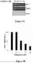 Fig. 03 - USE OF HEXOKINASE 2/MITOCHONDRIA-DETACHING COMPOUNDS FOR TREATING HEXOKINASE-2 (HK2)-EXPRESSING CANCERS
