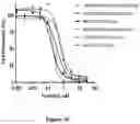 Fig. 06 - USE OF HEXOKINASE 2/MITOCHONDRIA-DETACHING COMPOUNDS FOR TREATING HEXOKINASE-2 (HK2)-EXPRESSING CANCERS
