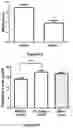 Fig. 09 - USE OF HEXOKINASE 2/MITOCHONDRIA-DETACHING COMPOUNDS FOR TREATING HEXOKINASE-2 (HK2)-EXPRESSING CANCERS