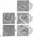 Fig. 02 - PHARMACEUTICAL COMPOSITION FOR PREVENTING AND TREATING DIABETIC NEPHROPAPHY INCLUDING ADENOSINE DERIVATIVE