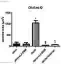 Fig. 15 - PHARMACEUTICAL COMPOSITION FOR PREVENTING AND TREATING DIABETIC NEPHROPAPHY INCLUDING ADENOSINE DERIVATIVE