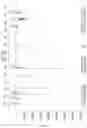 Fig. 13 - Eutectic form A of Elagolix and pyrimethamine, preparation method therefor and use thereof