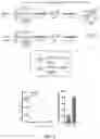 Fig. 07 - Replication stress pathway agent compositions and methods for treating cancer