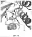 Fig. 07 - METHODS OF USING IMIPRIDONES