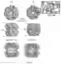 Fig. 08 - METHODS OF USING IMIPRIDONES