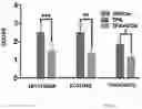 Fig. 09 - PHARMACEUTICAL COMPOSITION COMPRISING 6-DIAZO-5-OXO-L-NORLEUCINE FOR TREATING INFLAMMATORY SKIN DISEASE
