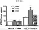 Fig. 02 - GALACTOOLIGOSACCHARIDE COMPOSITION FOR USE IN PREVENTING OR TREATING COGNITIVE DYSFUNCTION AND EMOTIONAL DISTURBANCES IN NEUROPSYCHIATRY ILLNESSES OR AGEING