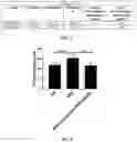 Fig. 03 - COMPOSITIONS AND THERAPEUTIC METHODS