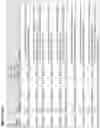 Fig. 76 - TAU ANTISENSE OLIGOMERS AND USES THEREOF