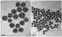Fig. 01 - RNA and nucleic acid carrier including the same