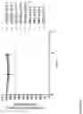 Fig. 63 - PREPARATION AND STORAGE OF LIPOSOMAL RNA FORMULATIONS SUITABLE FOR THERAPY