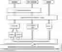 Fig. 01 - REVERSE IMMUNOSUPPRESSION
