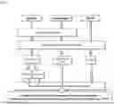 Fig. 02 - REVERSE IMMUNOSUPPRESSION