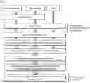 Fig. 03 - REVERSE IMMUNOSUPPRESSION