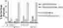 Fig. 01 - MODIFIED IMMUNE EFFECTOR CELLS WITH INCREASED RESISTANCE TO CELL DEATH