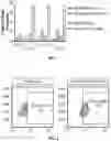 Fig. 02 - MODIFIED IMMUNE EFFECTOR CELLS WITH INCREASED RESISTANCE TO CELL DEATH