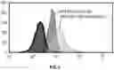 Fig. 03 - MODIFIED IMMUNE EFFECTOR CELLS WITH INCREASED RESISTANCE TO CELL DEATH