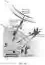 Fig. 07 - Genetically engineered coronavirus-specific effector cells for in situ synthesis of antiviral proteins