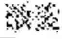 Fig. 02 - CHIMERIC RECEPTOR THAT RECOGNIZES ENGINEERED SITE IN ANTIBODY