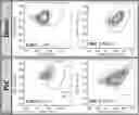 Fig. 01 - NOVEL ANUCLEATED CELLS AND USES THEREOF