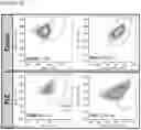 Fig. 03 - NOVEL ANUCLEATED CELLS AND USES THEREOF