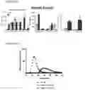Fig. 10 - NOVEL ANUCLEATED CELLS AND USES THEREOF