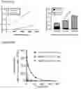 Fig. 12 - NOVEL ANUCLEATED CELLS AND USES THEREOF