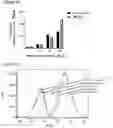 Fig. 15 - NOVEL ANUCLEATED CELLS AND USES THEREOF