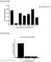 Fig. 23 - NOVEL ANUCLEATED CELLS AND USES THEREOF