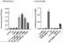 Fig. 40 - NOVEL ANUCLEATED CELLS AND USES THEREOF