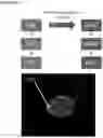 Fig. 45 - NOVEL ANUCLEATED CELLS AND USES THEREOF