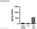 Fig. 50 - NOVEL ANUCLEATED CELLS AND USES THEREOF