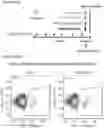 Fig. 56 - NOVEL ANUCLEATED CELLS AND USES THEREOF