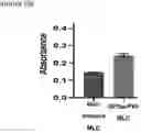 Fig. 60 - NOVEL ANUCLEATED CELLS AND USES THEREOF