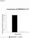 Fig. 02 - Extracellular vesicles isolated from genetically modified cells over-expressing SERPINB3 for use in medicine