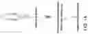 Fig. 02 - METHODS TO ENHANCE T CELL REGENERATION