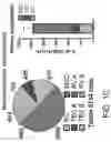 Fig. 04 - METHODS TO ENHANCE T CELL REGENERATION