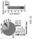 Fig. 08 - METHODS TO ENHANCE T CELL REGENERATION