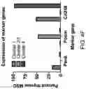 Fig. 32 - METHODS TO ENHANCE T CELL REGENERATION