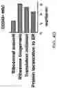Fig. 33 - METHODS TO ENHANCE T CELL REGENERATION